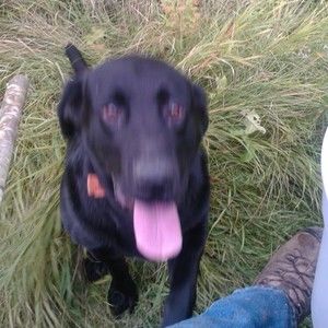 Meet your Posher, Tom